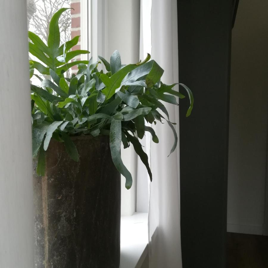 B&B Het Klontje Vriescheloo Luaran gambar
