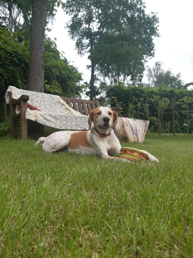 B&B Het Klontje Vriescheloo Luaran gambar
